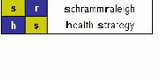 schrammraleigh Health Strategy Consulting