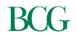 the Boston Consulting Group