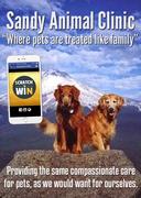 Sandy Animal Clinic Sandy Animal Clinic