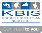 KBIS Limited KBIS Limited