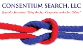 Consentium Search LLC Logo