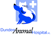 Dundee Animal Hospital