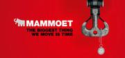 Mammoet USA South, Inc.