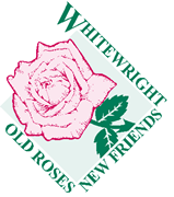 City of Whitewright Logo
