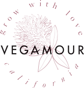 vegaLASH