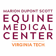 Virginia Tech Logo
