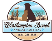Westhampton Beach Animal Hospital