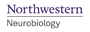 Northwestern University Logo
