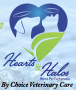 Hearts & Halos