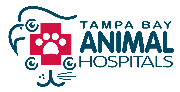 Tampa Bay Vets Logo
