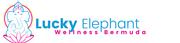 Lucky Elephant Wellness