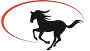 Northern Rivers Equine Veterinary Clinic Logo