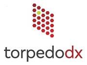 Torpedo Diagnostics
