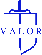 Valor Christian School... Logo