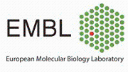 European Molecular Biology Laboratory (EMBL)