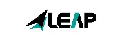 The Leap Network, LLC