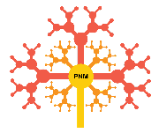 PRECISION NEUROMONITORING PRECISION NEUROMONITORING