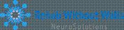 Rehab Without Walls NeuroSolutions