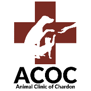 Animal Clinic of Chardon