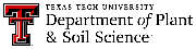 Texas Tech University Logo