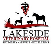 Lakeside Veterinary Hospital