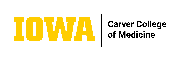 University of Iowa Logo