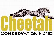 Cheetah Conservation Fund - USA
