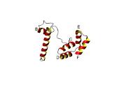 University of Virginia