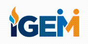 Institution of Gas Engineers & Managers