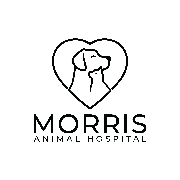 Morris Animal Hospital Morris Animal Hospital
