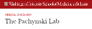 Pachynski Laboratory Washington University in St. Louis Logo