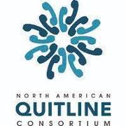 Senior Consultant, Strategic Learning and Evaluation
