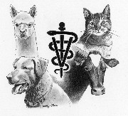 Puget Sound Veterinary Group