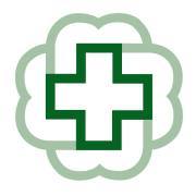 Bronson Healthcare Group Logo