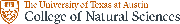 The University of Texas at Austin Logo