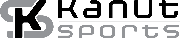 Stellar Accessories Logo