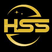 Hill Search Solutions LLC Logo