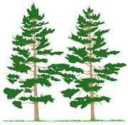 J's Lawn & Landscape, Inc. J's Lawn & Landscape, Inc.