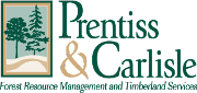 Prentiss and Carlisle Logo