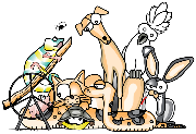 Cocoa Veterinary Hospital Logo