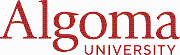 York University Logo
