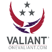 Valiant Integrated Services Logo