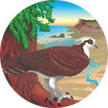 Stewards of the Coast and Redwoods Logo