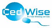 Ced Wise AB Services Logo