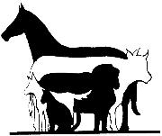 St George Veterinary Practice Logo