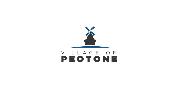 Village of Peotone IL Logo