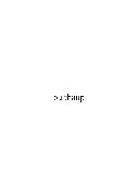 bulthaup Corporation Logo