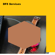 DFS services Logo