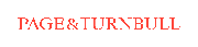 Page & Turnbull Logo