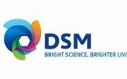 DSM Logo